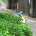 2026-104写真俳句17★(0702）草刈り