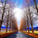 宅建を学習する上のファーストステップ