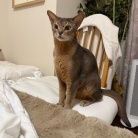 荒ぶるお姉ちゃんを呆然と見るわか坊