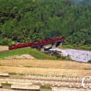 実りの秋の鳴子川鉄橋　キハ183系特急ゆふDX　久大本線　引治　2004年10月
