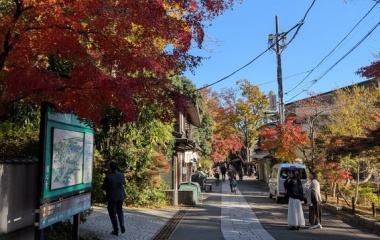 �ع��դο�����٤β���