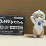 TAMAの広く浅く所々深い趣味の世界