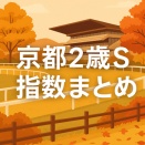 【京都２歳S】指数ランキングまとめ｜無料予想を公開中のサイト3つを紹介！