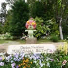 『横浜～春の里山ガーデンフェスタ2024①　2024/05/02』の画像