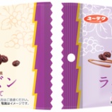 『【数量限定】こっそり、大人の「ブラックサンダーひとくちサイズ ラムレーズン発酵バター仕立て」』の画像