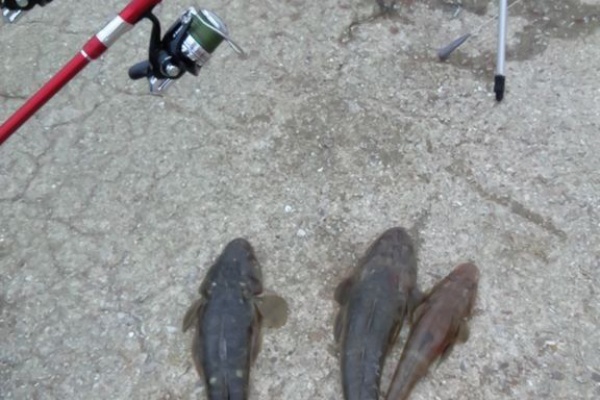 浮雲 牛深釣り日記 大物投げ釣り