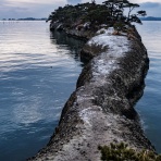 Every Ending Has A New Beginning