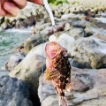 久しぶりのログになります。