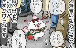 【メロとタビ/こばなし】さくらちゃんのおでかけ🌸