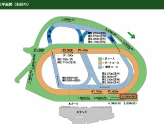 【京成杯】荒れる匂いが・・・