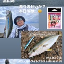 まだ釣れてます！ 9/24