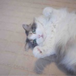 まったりとゆったりと。
