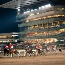 大井競馬　10月24日出走注目馬