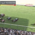 【競馬】アイビスサマーダッシュは田辺騎乗のピューロマジックがレコードで楽勝