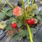 みーちゃんＨＯＵＳＥ