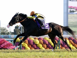 【競馬予想】[1]香港チャンピオンズデー2026