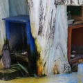 高岡古城公園動物園のペンギンは巣作り中