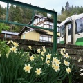 JR東日本郡山総合車両センターキハ110系@キハ110-223（本名）