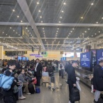 Stone Sculptor　                  Hiroyuki ASAKAWA