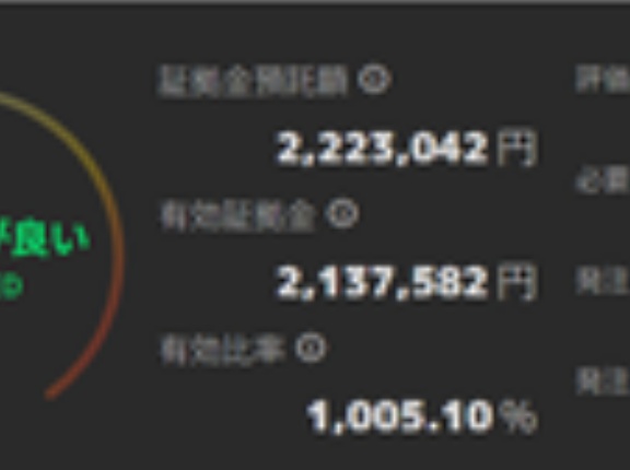 日経リピートCFD投資の自動売買、インヴァスト証券さんでやってみた！→元手100万円スタート13週間で利益21万円！マネするだけ設定レポート無料プレゼント実施中！