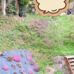 戦いすんで日は暮れて　～アラフィフゲイの田園lifeときどき婚活(？)