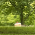 野生のショートケーキ、激写されるｗｗｗｗｗｗｗ