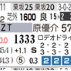 ハイブリッド競馬新聞