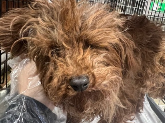 本日も期待を裏切らない酷さ、、、😱💦😰