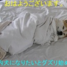 【インフルエンザ感染対策】