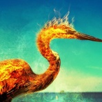 piabuの不思議blog