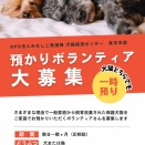 保護犬や保護猫を預かってみませんか？