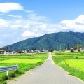 「田舎あるあるなんだけど、歩道はあっても◯◯◯で通れないこと多くない？」←共感の声多数！これどうなってんだよｗｗｗｗ