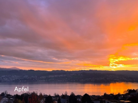 帯状疱疹のワクチン2回目延期