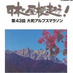 自転車と、水泳と、マラソンと。