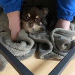 宮崎県都城市　ワンラブ　ニシムタ五十市店blog