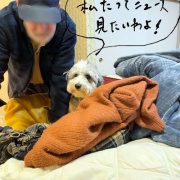 �����ʤ��褦�ˡ�ʹ�����ʤ��褦�ˤ���ˤϡ�����