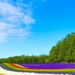 大和路ぶらぶら