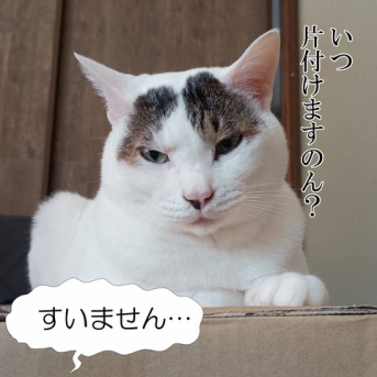 花粉、本気出してんじゃん。と、１ルピーつくりました。