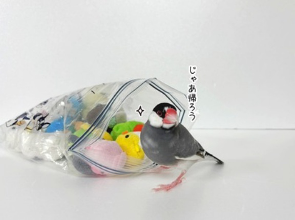 ムニュマムたちの元へ帰るセラ