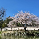 ヒューマン・イン・ザ・ループ（HITL）の寿命