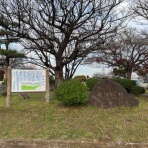 Castle.TATOの城郭訪問外史