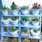 ブルーガーデンと花育て