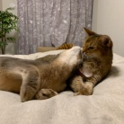 ちび子とぼくちん