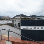 オバサンヘアーでゴーゴー