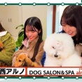 愛知県一社【ペットサロン】DOG SALON & SPA alnoir