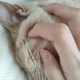 どうも、猫です。😁