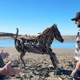 『ビーチの流木から馬のオブジェを作ってみた』の画像