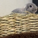 何でも気になるということは