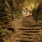 （ ﾟ毒ﾟ）< しんどい。