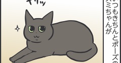 ゆるくなったスミちゃん